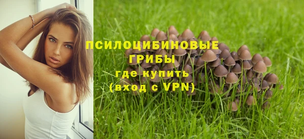 наркотики Богородск