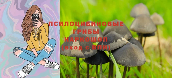 синтетический гашиш Богданович