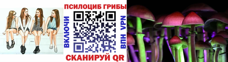 Псилоцибиновые грибы мухоморы где купить наркоту Бодайбо
